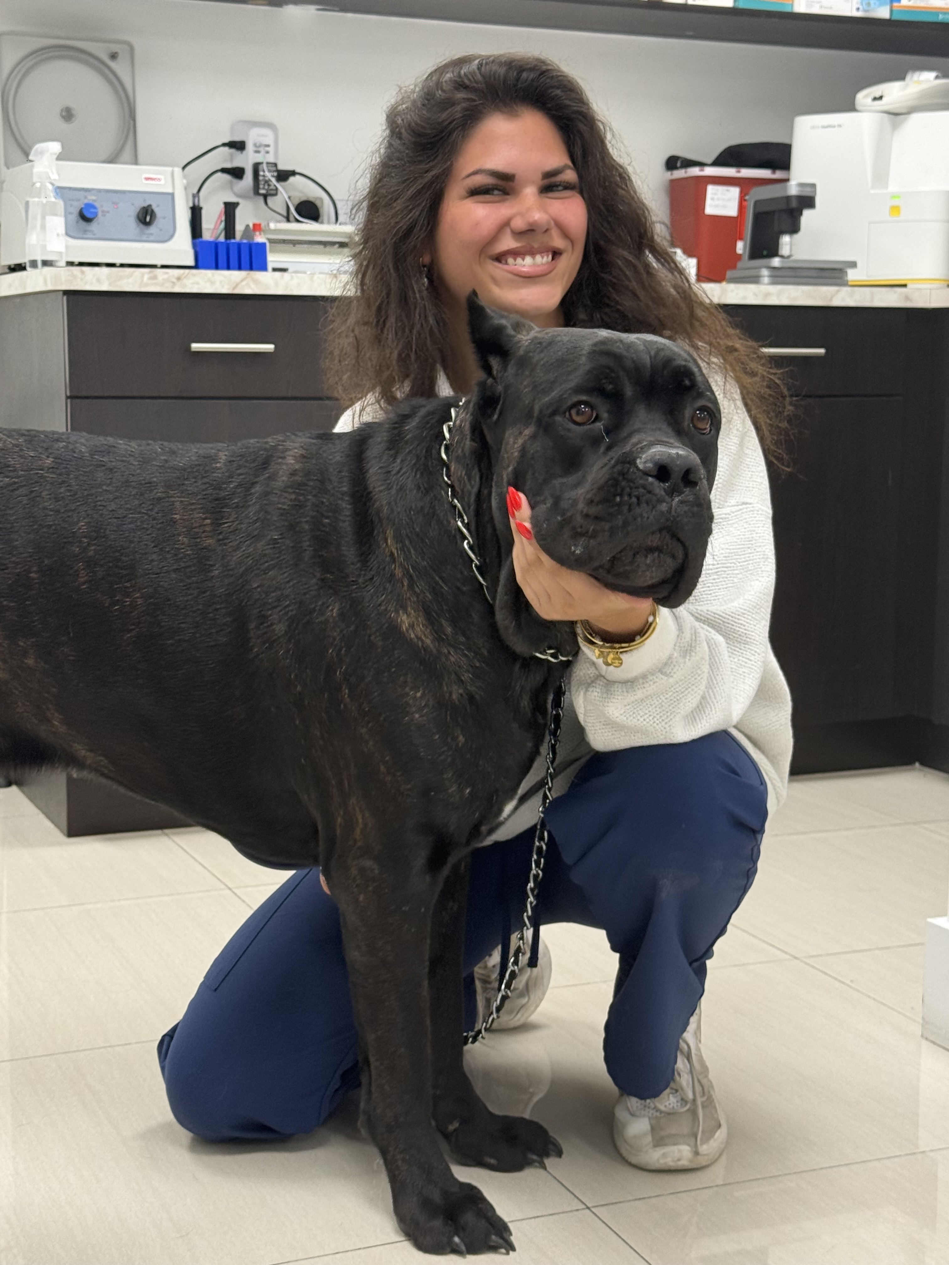 Dog and volunteer during care