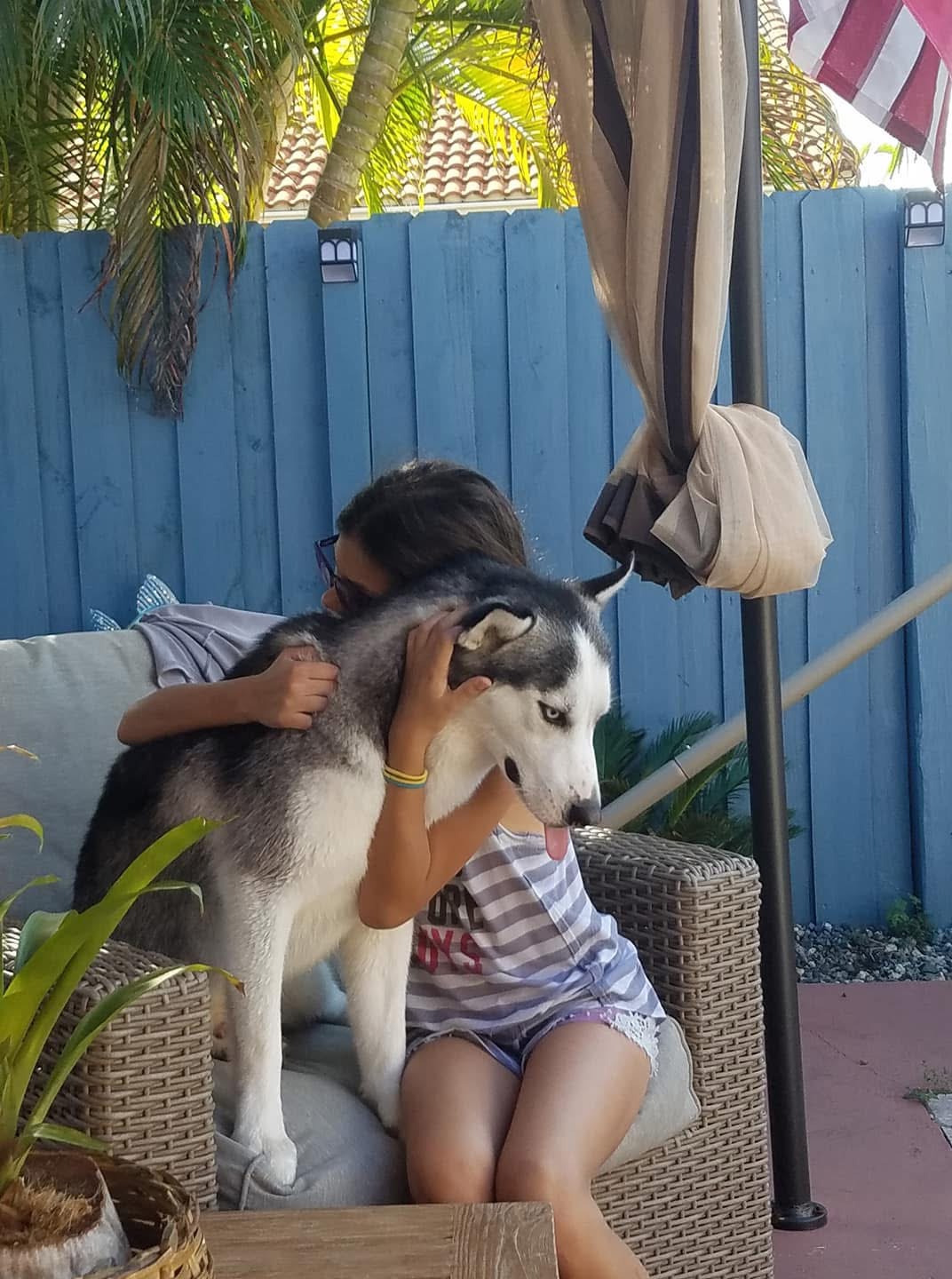A person with a dog outdoors